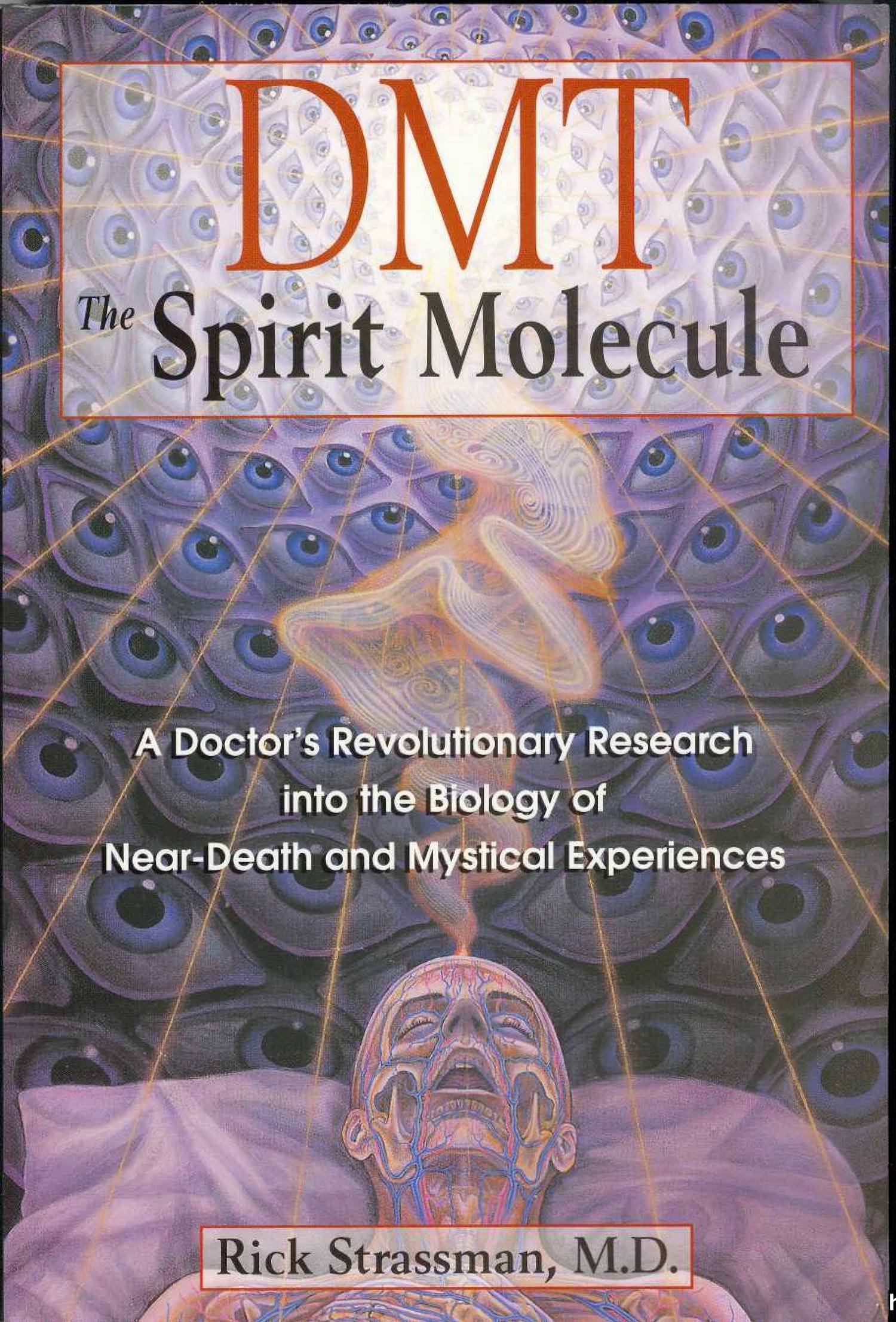 DMT Spirits Molecule - Rick Strassman